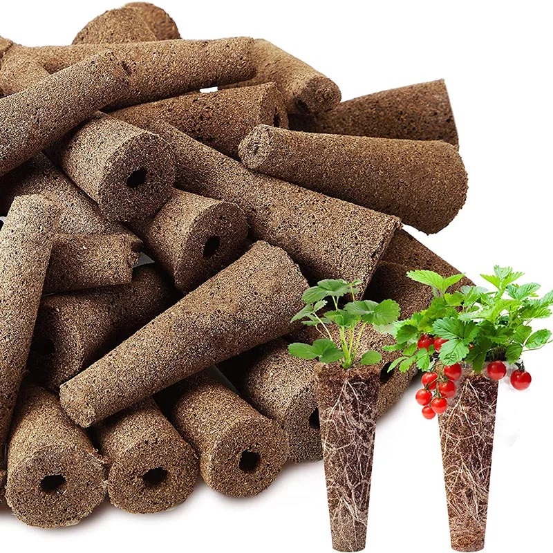 Food Storage Plants - 100Pcs Seed Grow Sponges Replacement Root