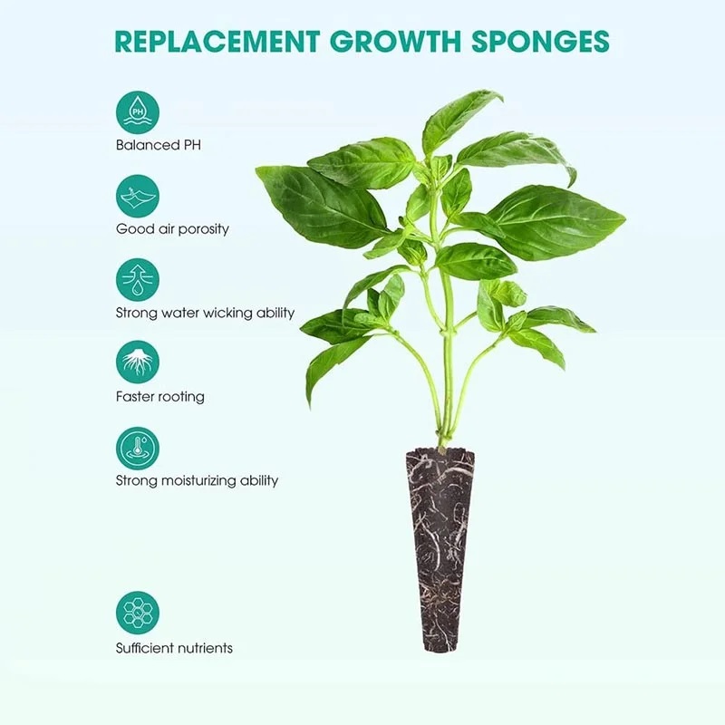 100Pcs Seed Grow Sponges Repla - Food Storage Plants 评论和价格