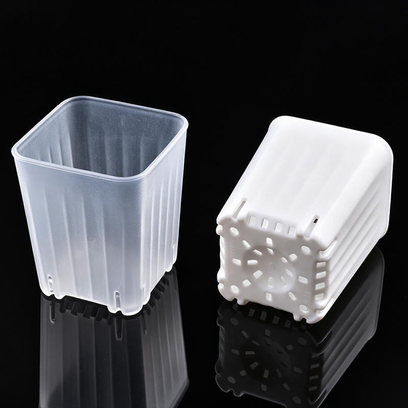 50-100Pcs 4cm Mini Thicken Whi - Food Storage Plants 评论和价格