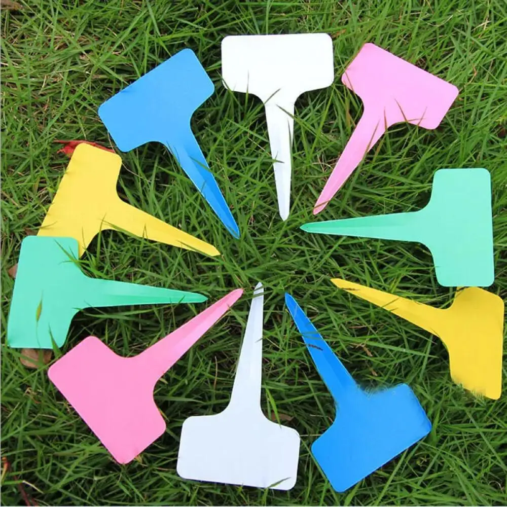 25-200Pcs Reusable Plastic Pla - Food Storage Plants 评论和价格