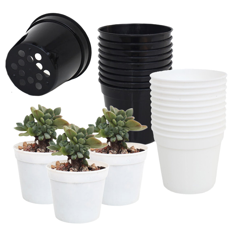 10/20pcs Round Plastic Flowerp - Food Storage Plants 评论和价格