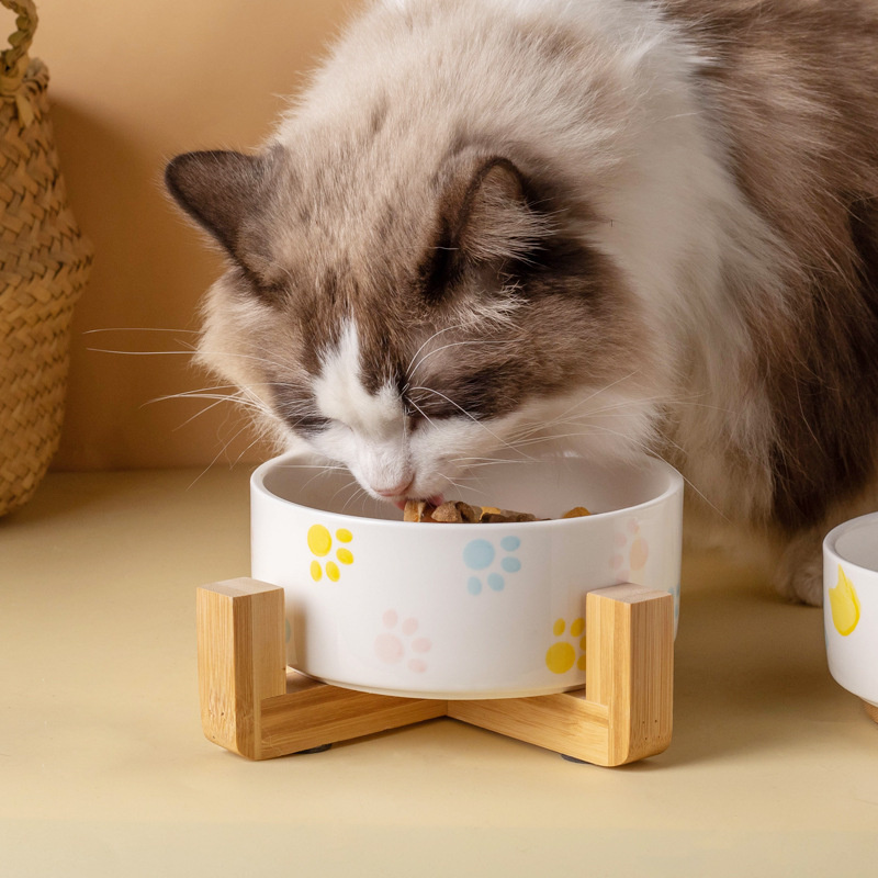 Ceramics Dog Bowl with Wood Ma - Food Storage Safety 评论和价格