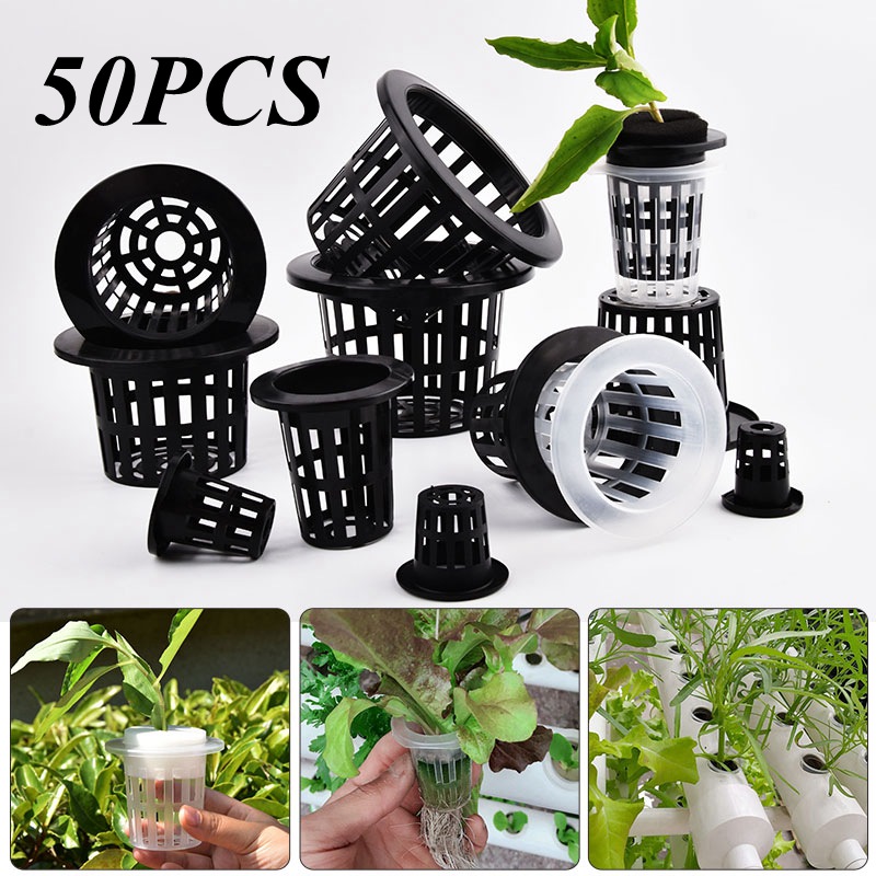 50Pcs Black White Soilless Mes - Food Storage Plants 评论和价格