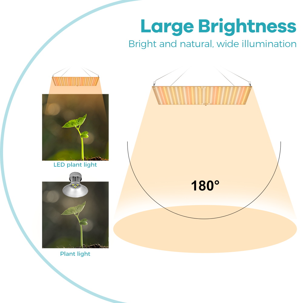 350W LED Plant Gorw Light Full - Food Storage Plants 评论和价格