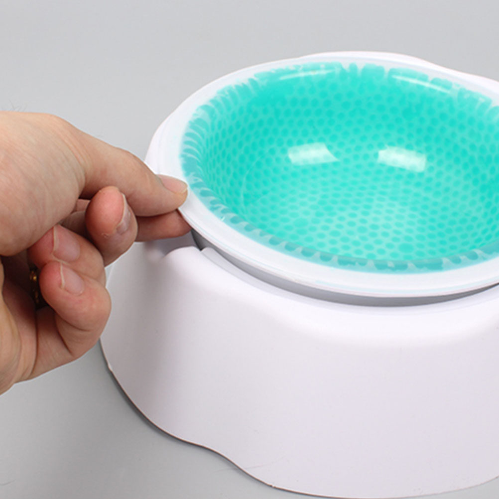 1Pcs Pet Cooler Bowl Premium P - Storage Tips For Food 评论和价格