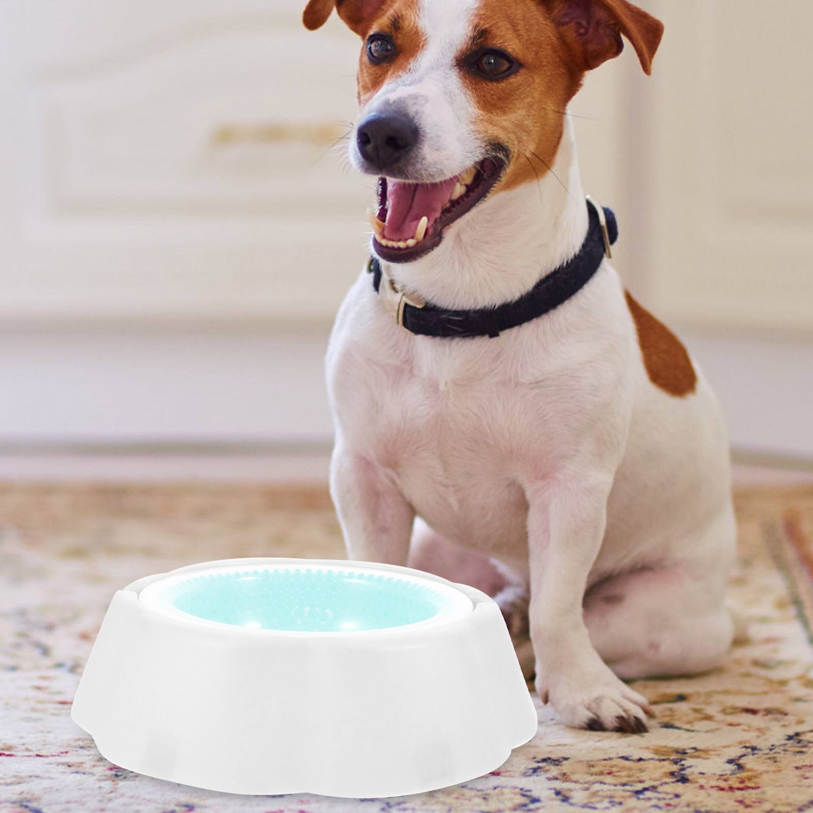 1Pcs Pet Cooler Bowl Premium P - Storage Tips For Food 评论和价格
