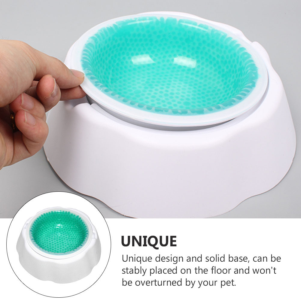 1Pcs Pet Cooler Bowl Premium P - Storage Tips For Food 评论和价格