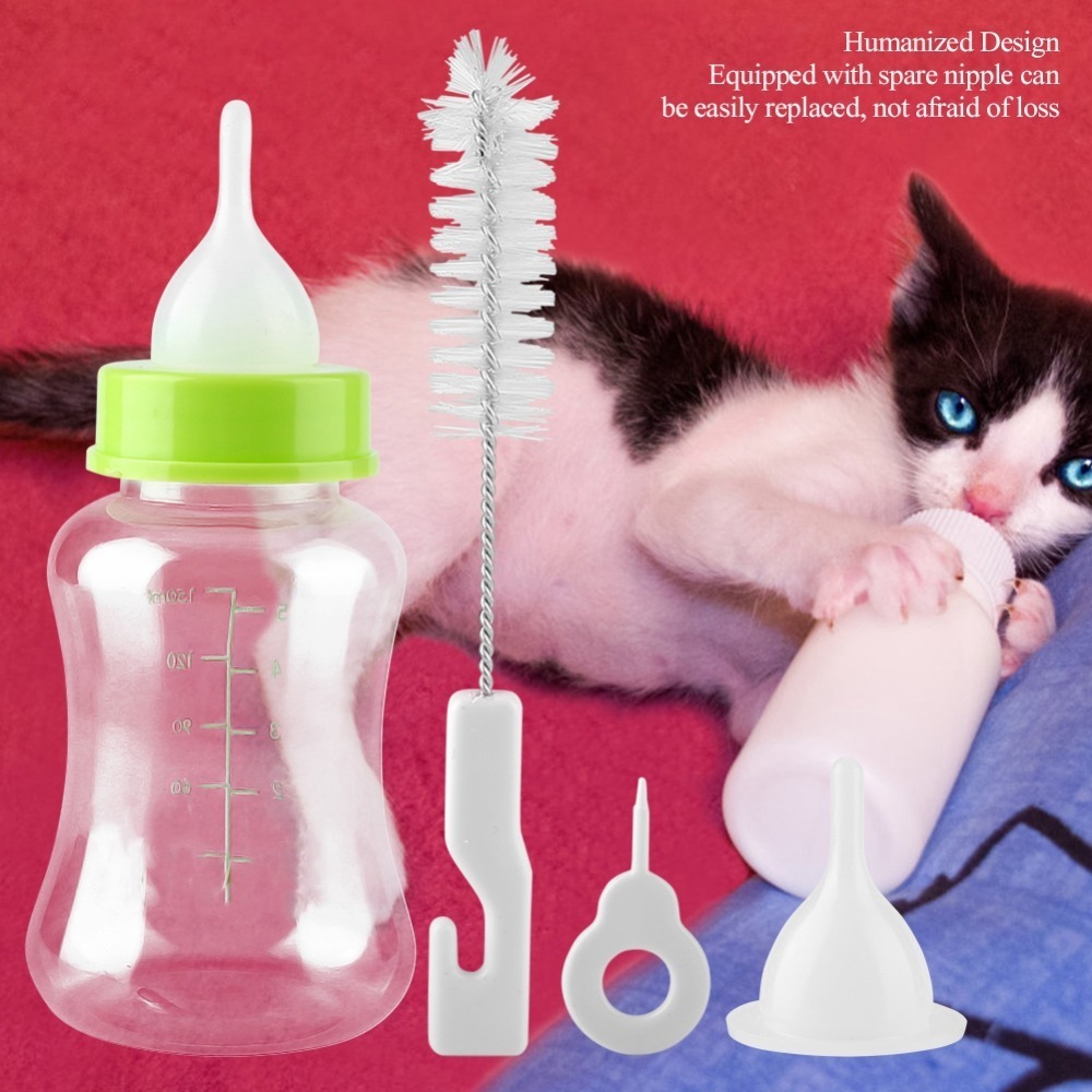 4pcs/ Set 150ml Capacity Pet F - Storage Tips For Food 评论和价格