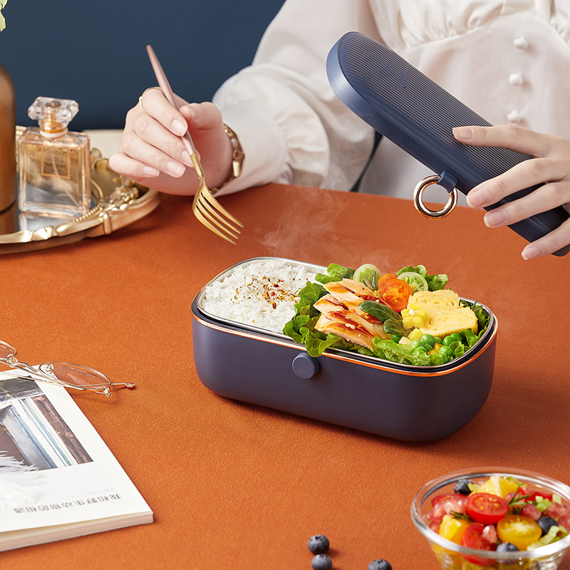 Electric Heating Lunch Box Sma - Food Storage Reserve 评论和价格