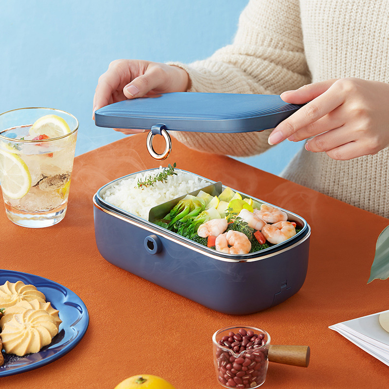 Electric Heating Lunch Box Sma - Food Storage Reserve 评论和价格