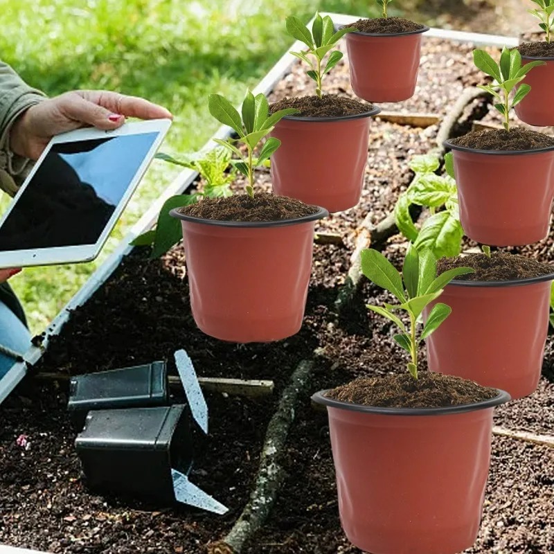 100/20x Seeding Nursery Pot Bl - Food Storage Plants 评论和价格