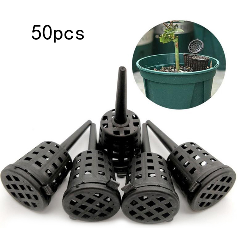 50 Pcs/pack Plants Fertilizer  - Food Storage Plants 评论和价格