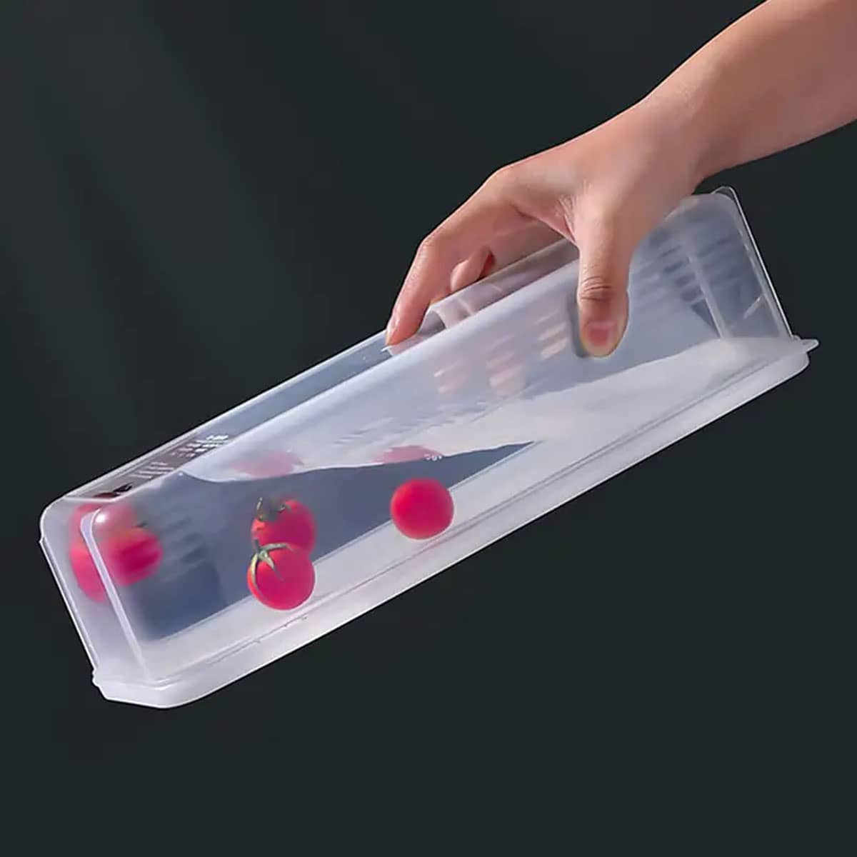 1 Plastic Transparent Storage  - Food Storage Boxes With Lids 评论和价格